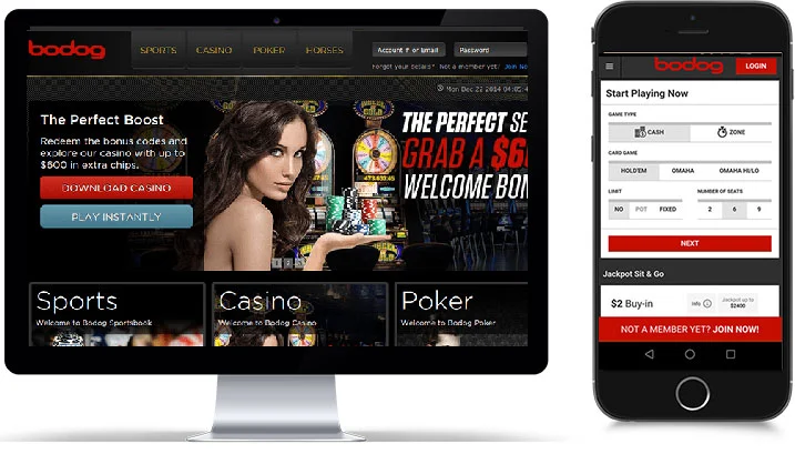 Bodog logo