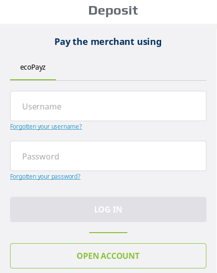 E-wallet